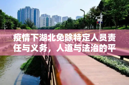 疫情下湖北免除特定人员责任与义务，人道与法治的平衡,疫情下湖北免除特定人员责任与义务