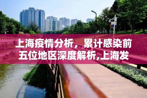 上海疫情分析，累计感染前五位地区深度解析,上海发布累计感染前五位地区
