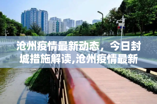 沧州疫情最新动态，今日封城措施解读,沧州疫情最新消息今天封城