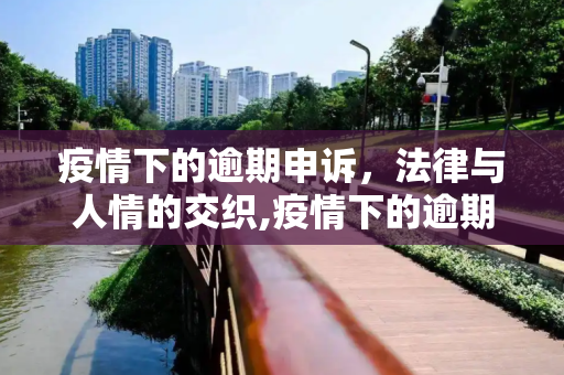 疫情下的逾期申诉，法律与人情的交织,疫情下的逾期申诉