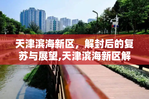 天津滨海新区，解封后的复苏与展望,天津滨海新区解封