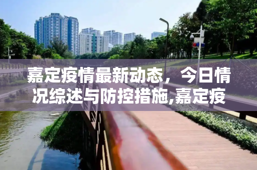 嘉定疫情最新动态，今日情况综述与防控措施,嘉定疫情最新消息今天