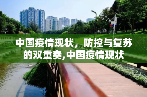 中国疫情现状，防控与复苏的双重奏,中国疫情现状