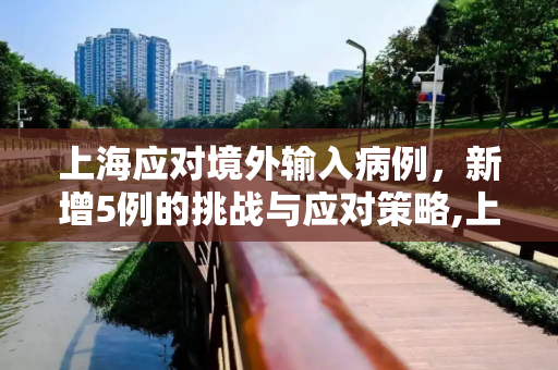 上海应对境外输入病例，新增5例的挑战与应对策略,上海新增境外输入病例5例