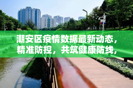 潮安区疫情数据最新动态，精准防控，共筑健康防线,潮安疫情数据最新