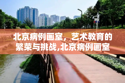 北京病例画室，艺术教育的繁荣与挑战,北京病例画室规模近2000人