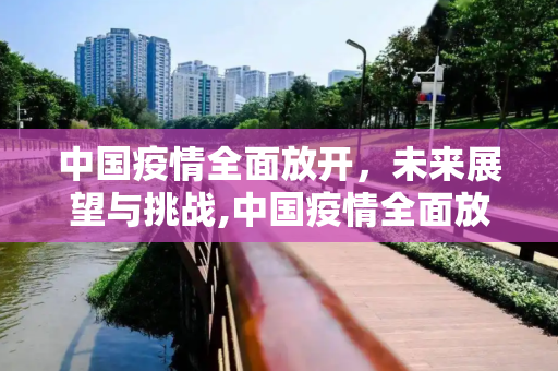中国疫情全面放开，未来展望与挑战,中国疫情全面放开展望
