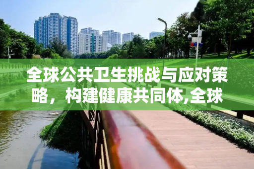 全球公共卫生挑战与应对策略，构建健康共同体,全球公共卫生挑战与应对策略