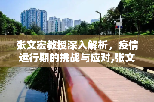 张文宏教授深入解析，疫情运行期的挑战与应对,张文宏谈疫情运行期