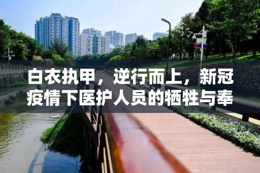 科普资讯 第42页