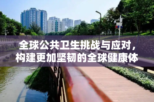 全球公共卫生挑战与应对，构建更加坚韧的全球健康体系,全球公共卫生挑战与应对