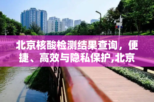 北京核酸检测结果查询，便捷、高效与隐私保护,北京核酸检测结果查询
