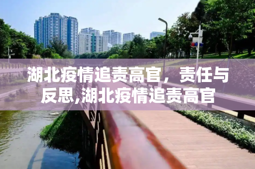 湖北疫情追责高官，责任与反思,湖北疫情追责高官
