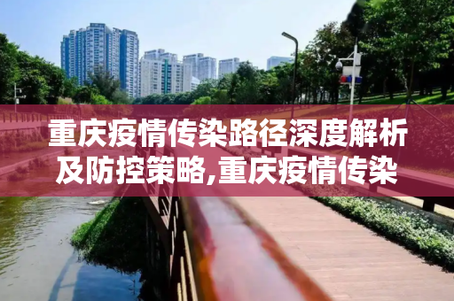 重庆疫情传染路径深度解析及防控策略,重庆疫情传染路径深度解析及防控策略