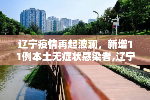 辽宁疫情再起波澜，新增11例本土无症状感染者,辽宁新增11例本土无症状