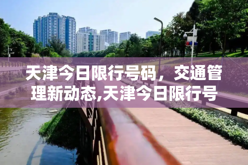 天津今日限行号码，交通管理新动态,天津今日限行号码