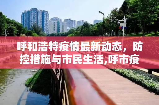 呼和浩特疫情最新动态，防控措施与市民生活,呼市疫情最新消息
