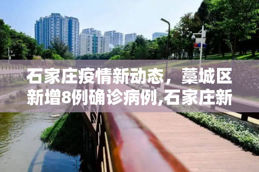 石家庄疫情新动态，藁城区新增8例确诊病例,石家庄新增8例确诊均在藁城区