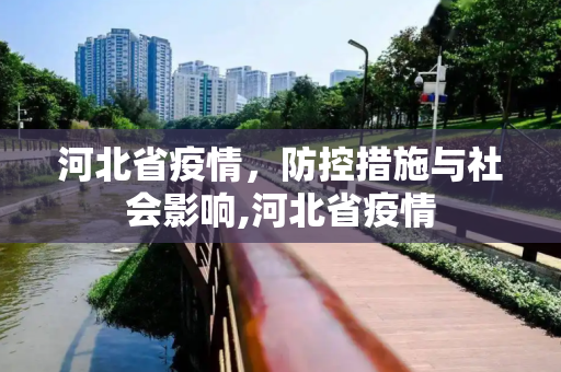 河北省疫情，防控措施与社会影响,河北省疫情