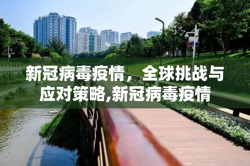 新冠病毒疫情，全球挑战与应对策略,新冠病毒疫情