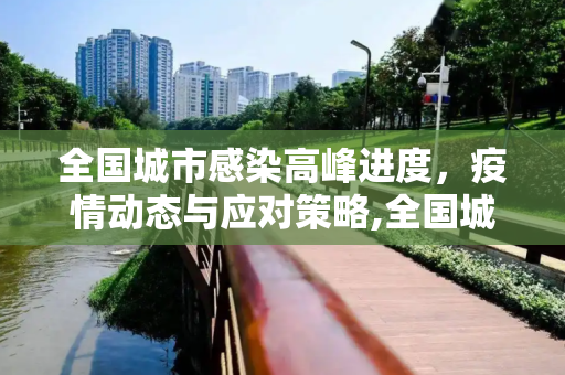 全国城市感染高峰进度，疫情动态与应对策略,全国城市感染高峰进度