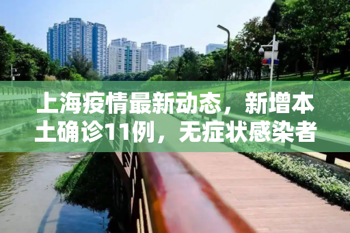 上海疫情最新动态，新增本土确诊11例，无症状感染者64例,上海新增本土确诊11例无症状64例的简单介绍