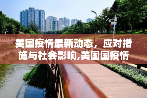 美国疫情最新动态，应对措施与社会影响,美国国疫情最新相关消息