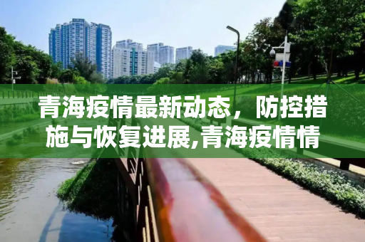 青海疫情最新动态，防控措施与恢复进展,青海疫情情况最新