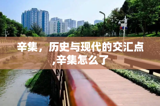 辛集，历史与现代的交汇点,辛集怎么了