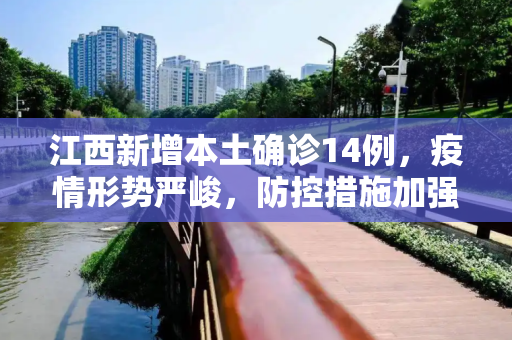 江西新增本土确诊14例，疫情形势严峻，防控措施加强,江西新增本土确诊14例