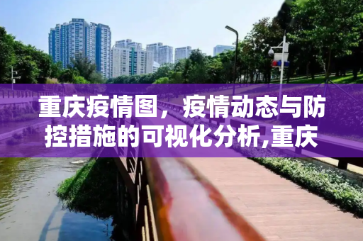 重庆疫情图，疫情动态与防控措施的可视化分析,重庆疫情图