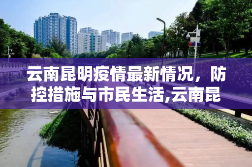 云南昆明疫情最新情况，防控措施与市民生活,云南昆明疫情最新情况