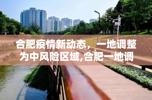 合肥疫情新动态，一地调整为中风险区域,合肥一地调为中风险