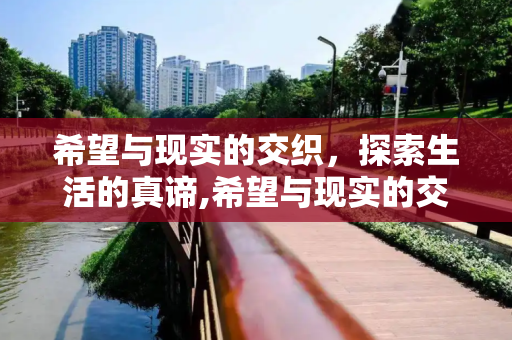 希望与现实的交织，探索生活的真谛,希望与现实的交织
