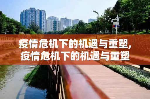 疫情危机下的机遇与重塑,疫情危机下的机遇与重塑
