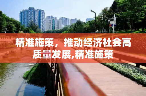 精准施策，推动经济社会高质量发展,精准施策