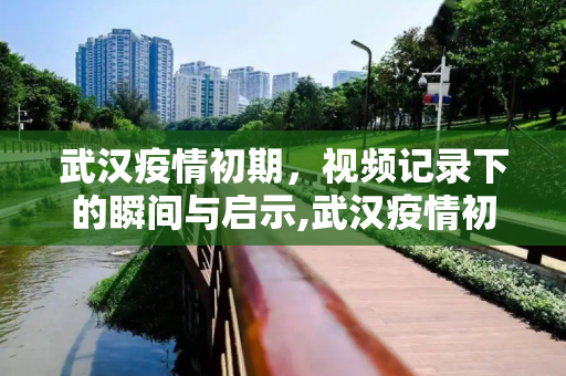 武汉疫情初期，视频记录下的瞬间与启示,武汉疫情初期视频