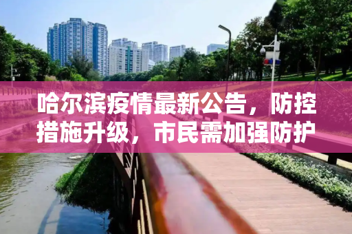 哈尔滨疫情最新公告，防控措施升级，市民需加强防护意识,哈尔滨疫情最新公告