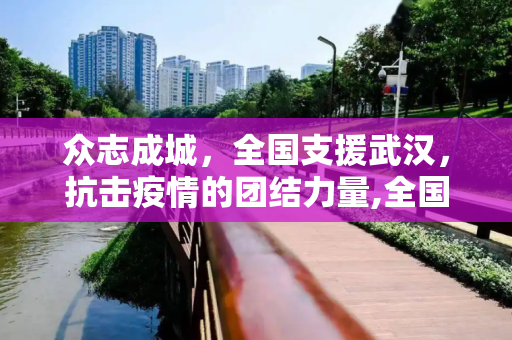 众志成城，全国支援武汉，抗击疫情的团结力量,全国支援武汉