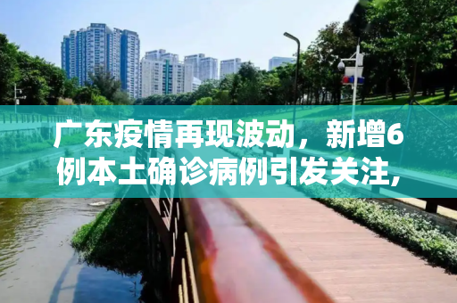 广东疫情再现波动，新增6例本土确诊病例引发关注,广东新增6例本土确诊