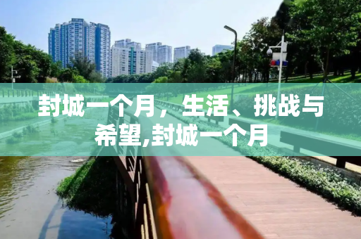 封城一个月，生活、挑战与希望,封城一个月