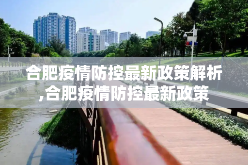 合肥疫情防控最新政策解析,合肥疫情防控最新政策