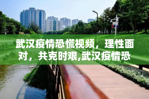 武汉疫情恐慌视频，理性面对，共克时艰,武汉疫情恐慌视频