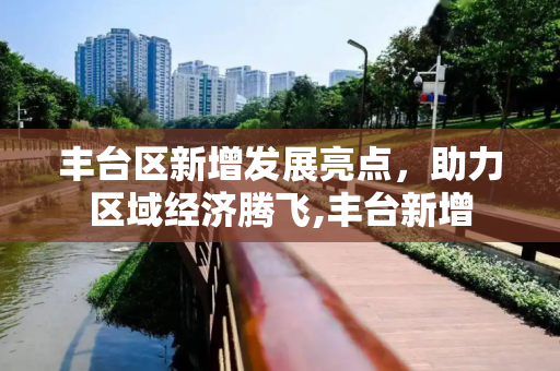 丰台区新增发展亮点，助力区域经济腾飞,丰台新增