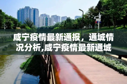咸宁疫情最新通报，通城情况分析,咸宁疫情最新通城:咸宁疫情通报