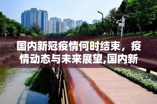 国内新冠疫情何时结束，疫情动态与未来展望,国内新冠疫情何时结束
