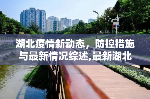 湖北疫情新动态，防控措施与最新情况综述,最新湖北疫情新情况