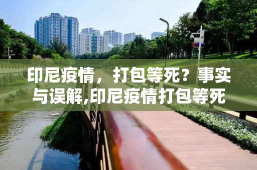印尼疫情，打包等死？事实与误解,印尼疫情打包等死是真的吗