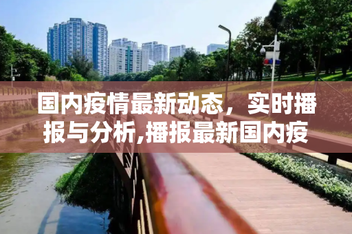 国内疫情最新动态，实时播报与分析,播报最新国内疫情:播报国内最新疫情情况