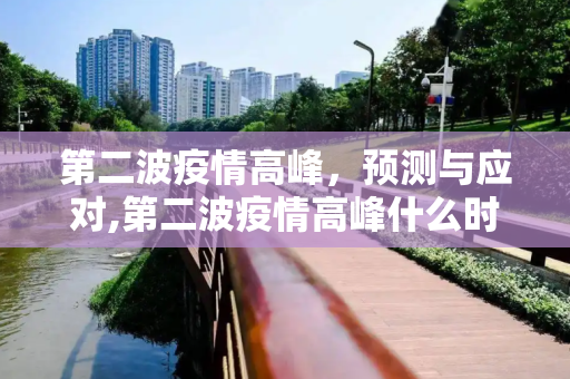 第二波疫情高峰，预测与应对,第二波疫情高峰什么时候开始
